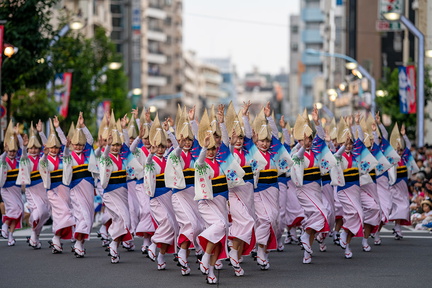 Awa Odori Festival