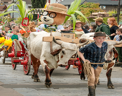 Festa da Colônia