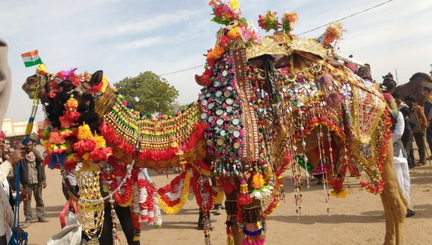 The Nagaur Fair