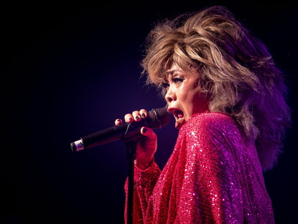 The Soul of Tina Turner