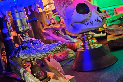 Oddities &amp; Curiousities Expo
