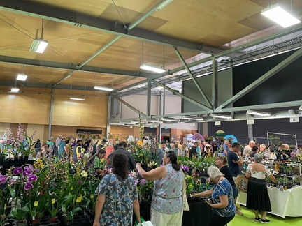queensland international orchid fair