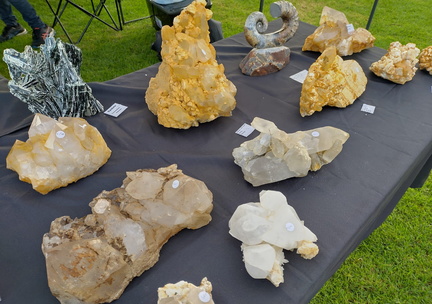 Rock Swap
