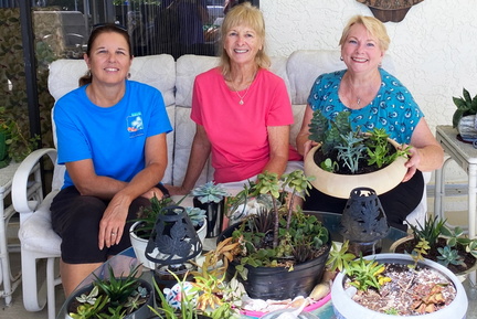 Succulent Desert Dish Garden Workshop