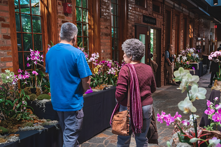 Orchid Show
