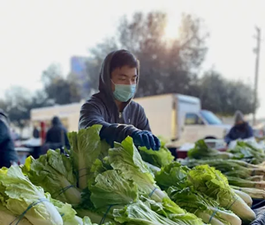 Golden Villa Farmers' Market