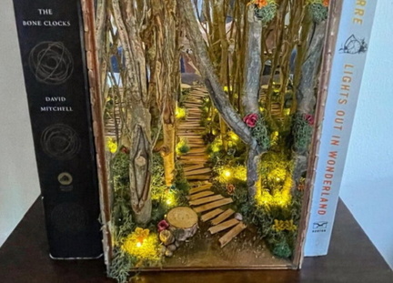 Bookshelf Magic Workshop