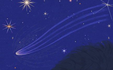 Stories in the Stars An Indigenous Planetarium Experience