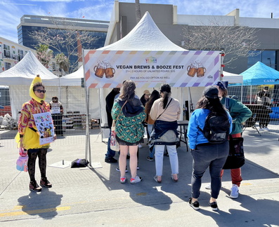 Vegan Street Fair