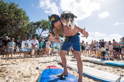 Noosa Surfing Dog Championships