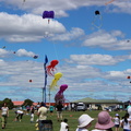 Teddy Bear & Kite Festival