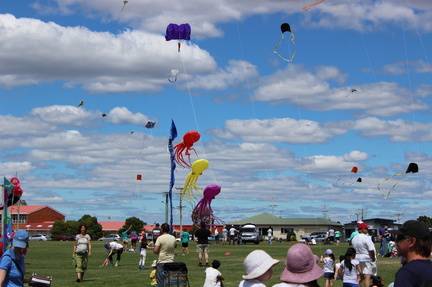 Teddy Bear & Kite Festival