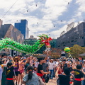 Lunar New Year