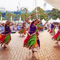 Holi Festival (Culture Alive Festival)