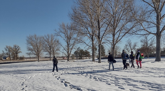 Winter Fun League