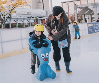 Ice Skating Park