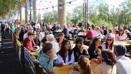 Festival de Loire