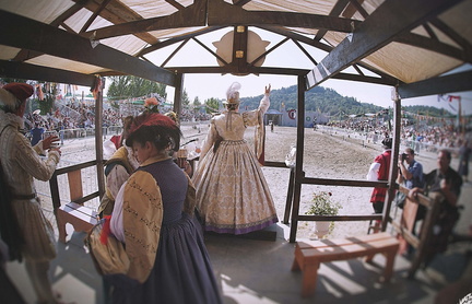 the Washington Midsummer Renaissance Faire