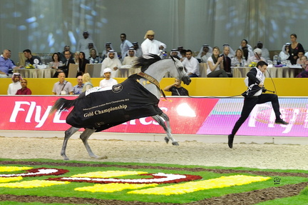 Dubai International Arabian Horse Championship