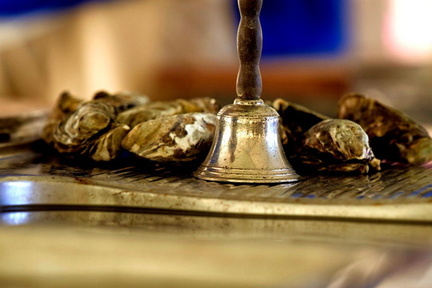 Ceduna Oysterfest