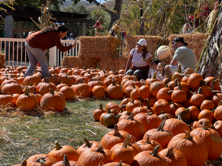 Calabasas Pumpkin Festival