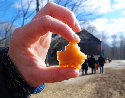 Maple Syrup Festival