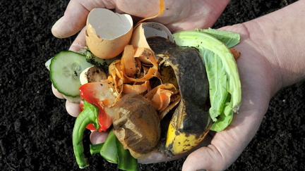 Bilingual Composting Workshop