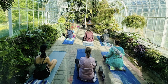 Yoga Among the Plants