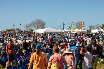 Sea-Blues Festival