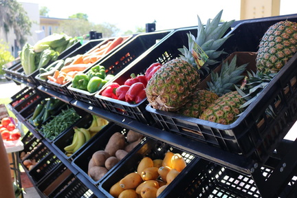 Ocala Downtown Market