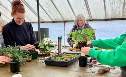 Epiphyte Mount Workshop