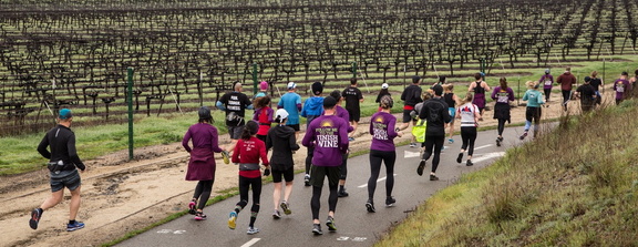 Livermore Valley Half Marathon