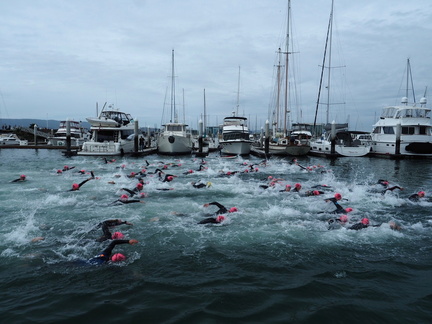 Stanford Treeathlon 2025