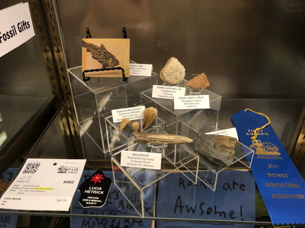Ventura Gem &amp; Mineral Society