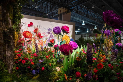 FlowerShow-17-scaled