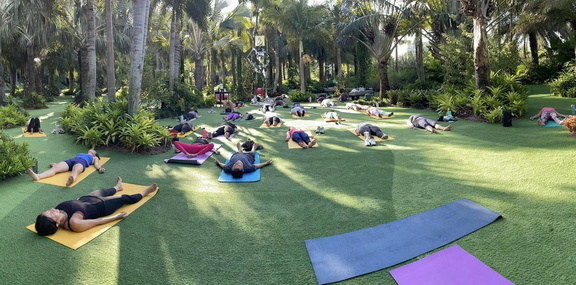 Yoga in the garden
