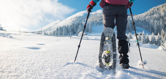 Winter Snowshoe