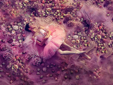 The Sleeping Beauty
