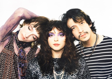 The Velveteers