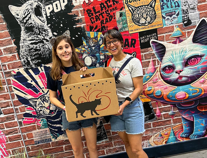 POP Cats