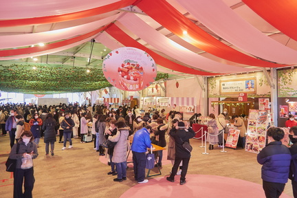 Strawberry Festival 2025