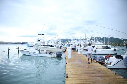 Montego Bay Yacht Club Marlin Tournament