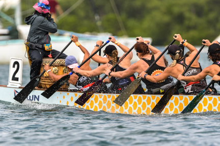 Sarasota International Dragon Boat Festival