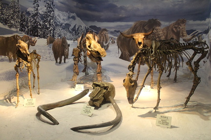 1280px-Ice_Age_Diorama-Tianjin_Natural_History_Museum