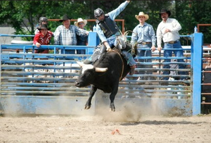 roy pioneer rodeo