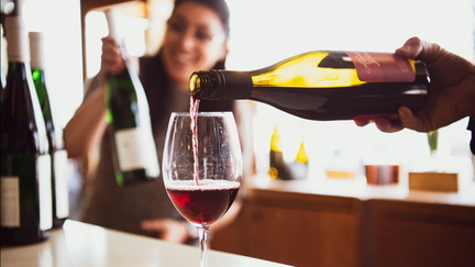 Wine Basic