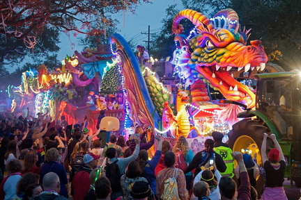 Mardi+Dragon