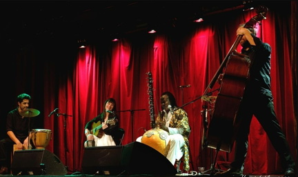 Kora Flamenca II