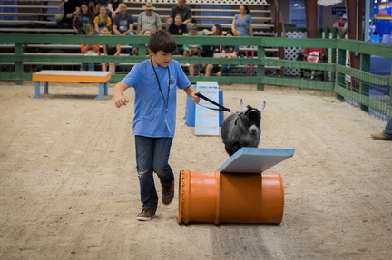 WFL Ag Expo