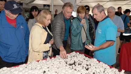 Mushroom Festival